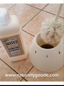 Disinfectant in Toilet Brush Holder